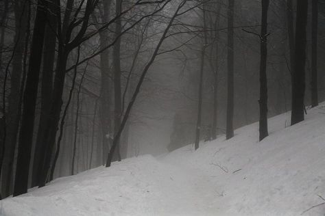 Freezing Moon Snowy Forest Mayhem Cover Darkest Demon Winter At Night, Snow Forest, Forest Background, Snowy Forest, Dark Paradise, Dark Gothic, Winter Scenery, The Secret History, Intp