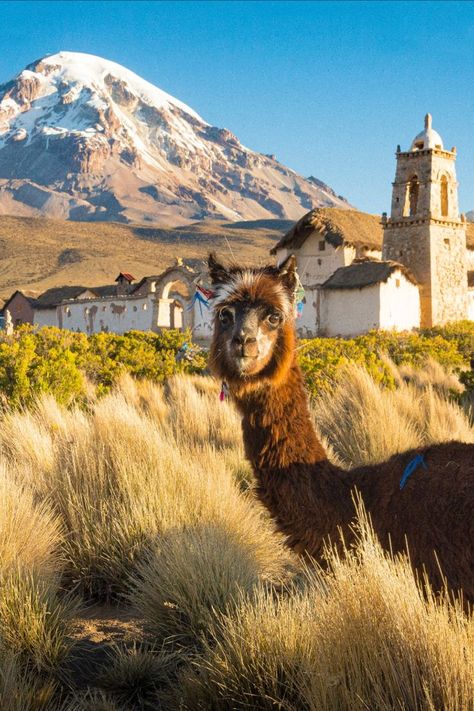 South America Aesthetic, Bolivia Aesthetic, Bolivia Photography, Bolivia Santa Cruz, Travel Life Hacks, Bolivia Travel, Full Time Travel, Travel Wishlist, Caribbean Travel