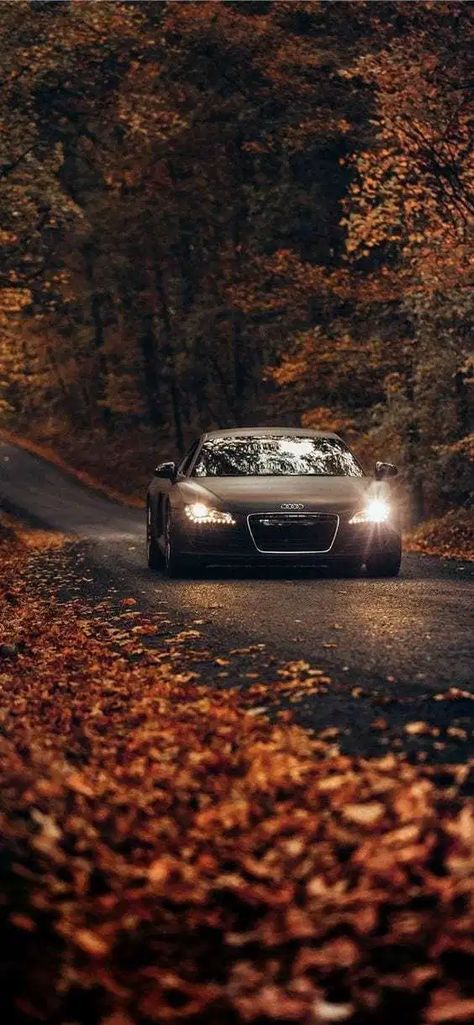 23 Incredible And Fascinating Audi Wallpapers To Check Out Audi R8 Wallpaper, Porsche Cayman 987, Black Car Wallpaper, Samsung Wallpapers, Wallpaper Carros, Audi A, Car Iphone Wallpaper, Black Audi, Tokyo Drift