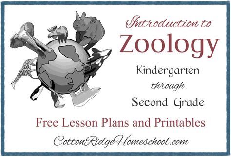 Introduction to Zoology for students in Kindergarten through Second Grade ~ 12 Free Lesson Plans and Printables Amigurumi Patterns, Science Notebooks, Editing Practice Worksheets, Classification Of Animals, Homeschool Coop, Animal Lessons, Elementary Lessons, Math Measurement, Grade 12