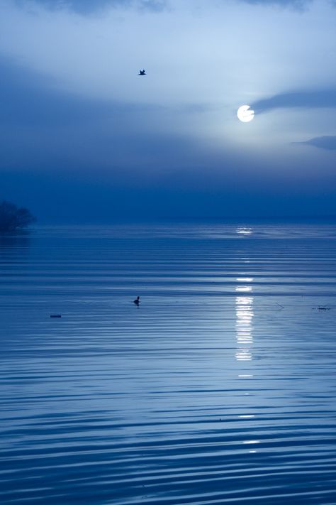 unwrittennature:  Moonlight Sonata by: Kaan Köse Night Skies, Moonlight Sonata, Beautiful Moon, Feeling Blue, Foto Inspiration, Belleza Natural, Blue Moon, Belle Photo, Sunrise Sunset