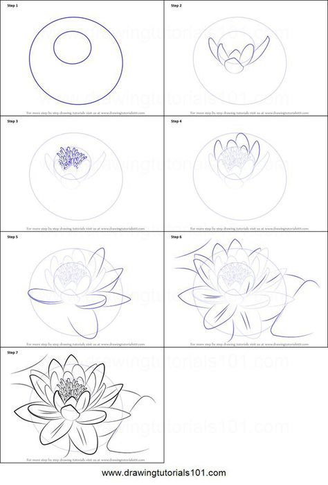 How to draw a flower Sketching 101 Step By Step, Water Lily Drawing Step By Step, How To Draw A Water Lily Step By Step, Koi Fish Drawing Reference, How To Draw A Water Lily, How To Draw Water Lily, Koi Fish Drawing Step By Step, Watercolor Water Lily, How To Draw A Lotus Flower Step By Step