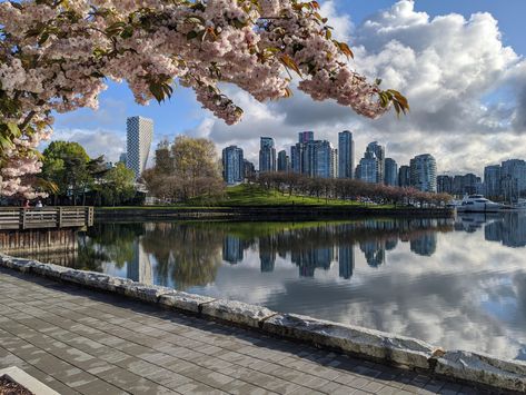 A beautiful still day on Vancouver's seawall. Nature, Canada Landscape Photography, City View Wallpaper, Vancouver Wallpaper, Vancouver Aesthetic, Vancouver Architecture, Vancouver Apartment, Doll Printables, Vancouver Photography