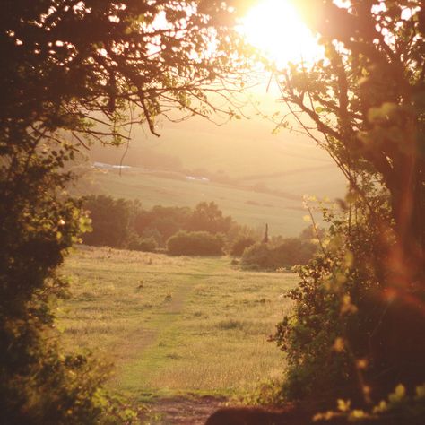 Country Life, Belle Nature, Alam Yang Indah, Laura Lee, Nature Aesthetic, Pretty Places, Photo Profil, Outlander, Beautiful World