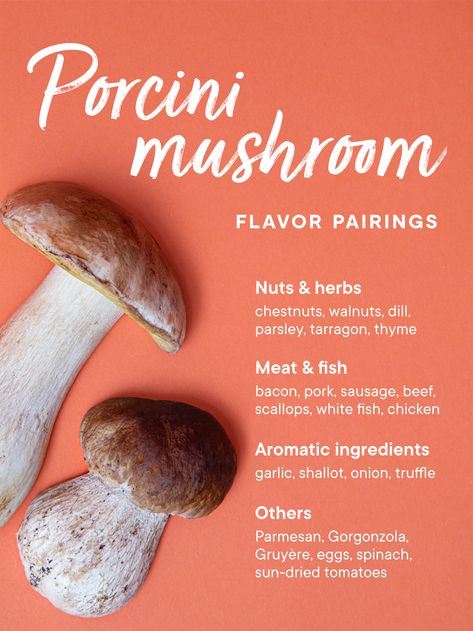 Porcini Recipes, Porcini Mushroom Recipes, Beef Ragout, Celery Root Puree, Porcini Mushroom, Dried Porcini Mushrooms, Mushroom Dish, Barley Soup, Dried Mushrooms