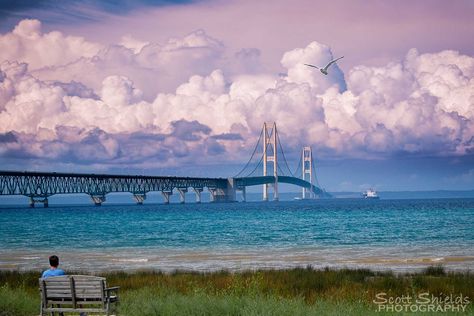The Mackinac Bridge or “Mighty Mac” had been a dream since the 1880s to replace the ferry system that spanned the Straits of Mackinac, which connects Lake Michigan and Lake Huron. Here are five interesting facts that you may not have known about the “Gateway to the North.” View this post on Instagram Put it … Mackinaw Bridge, Perspective Photos, Mackinac Island Michigan, Sault Ste Marie, Mackinac Bridge, Michigan Vacations, Lake Living, Michigan Travel, Lake Huron