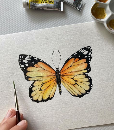 20 Beautiful Watercolor Butterfly Painting Ideas - Beautiful Dawn Designs Art Papillon, Butterfly Art Drawing, Butterfly Art Painting, Painting Idea, Seni Cat Air, Watercolor Paintings Easy, Watercolor Flower Art, Butterfly Drawing, Watercolor Painting Techniques