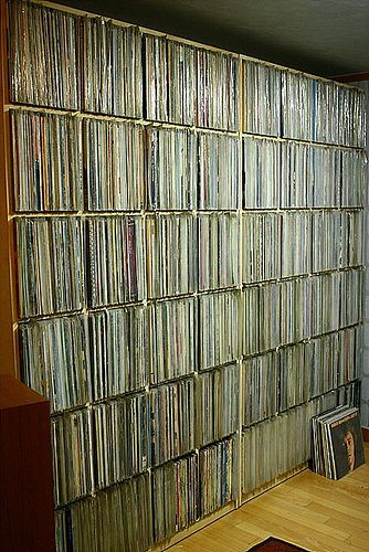 Vinyl Collection Record Players, Vinyl Storage, Record Storage, Hus Inspiration, I'm With The Band, Record Collection, Music Memes, Record Player, Music Room