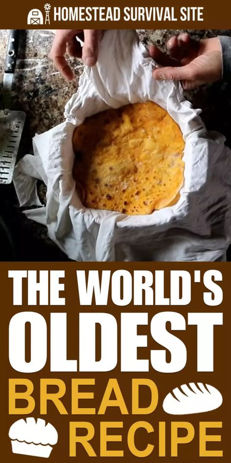 The World's Oldest Bread Recipe - Just 3 Ingredients Homemade Brioche Bread, Recipes With Old Bread, Cake Mix Hacks, City Witch, Pioneer Recipes, Homemade Brioche, Bread Recipies, Emergency Food Supply, Ancient Recipes