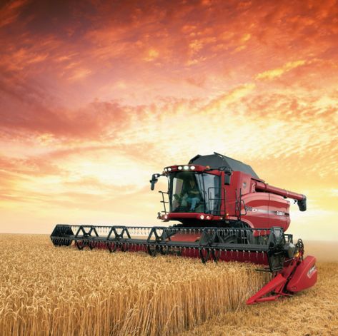 We are thankful for all the farmers and their families who work long hours to put food on our tables today. Happy Thanksgiving from Octane Press! 🚜: Case IH 8010 Axial-Flow Combine 📸: Lee Klancher from our 📕 "Red Combines" Tumblr, Spanish To English, English To Spanish, Professional English, Oliver Tractors, Case Ih Tractors, Farming Business, International Tractors, Translation Services