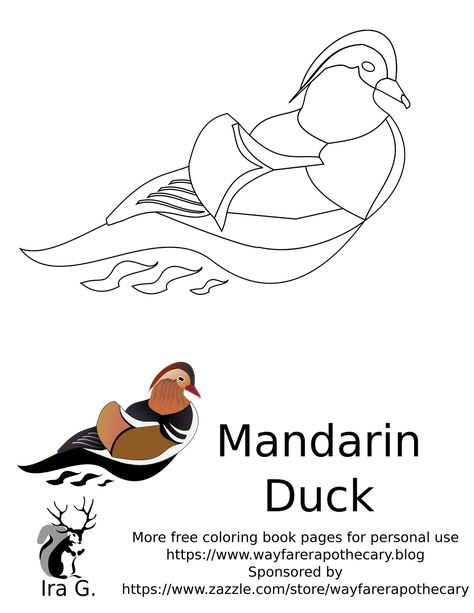 A Mandarin Duck coloring page illustration from the side view. Mandarin Duck, Mandarin Duck Drawing, Duck Outline, Coloring Template, Teal Duck, Flower Carpet, Duck Drawing, Page Illustration, Diy Watercolor Painting