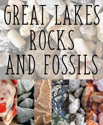 12 Collectible Rocks and Fossils of the Great Lakes | Great Lakes Locals Favosites Fossil, Lake Huron Rocks, River Rock Crafts, Rock Collection Display, Lake Michigan Stones, Michigan Rocks, Crinoid Fossil, Rock Identification, Keweenaw Peninsula