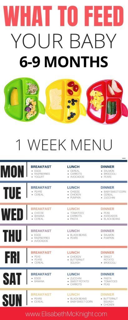 What To Feed A 9 Month Old, Baby First Foods 6 Months, Blw First Foods 6 Months, 9 Month Old Food Ideas Meals, 6 Month Old Food Ideas, Solid Starts, Baby Meal Plan, Baby Food Guide, Baby Food Schedule