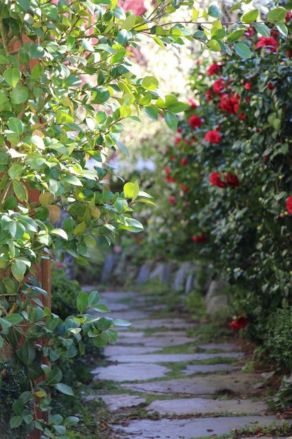 Nechar Photos, Side Walkway, Background Garden, Flagstone Path, Garden Background, Summer Nature Photography, Nature Background Images, Photoshop Digital Background, Blurred Background Photography