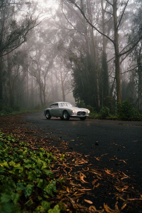 fog, tree, landscape, fall, leaf, road, car, light, dawn, nature, wood, winter, mist, rain, street, sun, snow, park, guidance Quito, Classic Cars Photography, Cars In Nature, Car Nature Photography, White Car Photography, Cool Car Photography, Urban Car Photography, Car Angles Photography, Automotive Photography Ideas