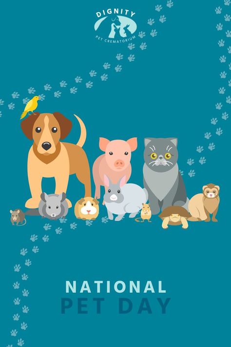 Celebrating pets of all shapes and sizes today for National Pet Day. Which animals are you spending today with? Or maybe your looking back at memories of the pets you've welcomed into your life over the years. Holidays, National Pet Day 2024, National Pet Day, National Days, Pet Day, All Shapes, Holiday Specials, Looking Back, Over The Years