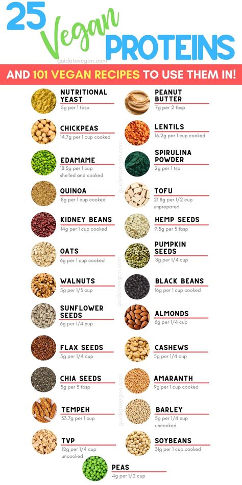 A graphic showing the top 25 vegan protein sources. Veg High Protein Diet, Veg High Protein Food, Plant Based Tips, High Protein Vegan Macro Meals, Plant Based Bulking Meals, Vegan Protein Ideas, Plant Protein Snacks, Plant Based Muscle Building Diet, Vegan Bulking Meals