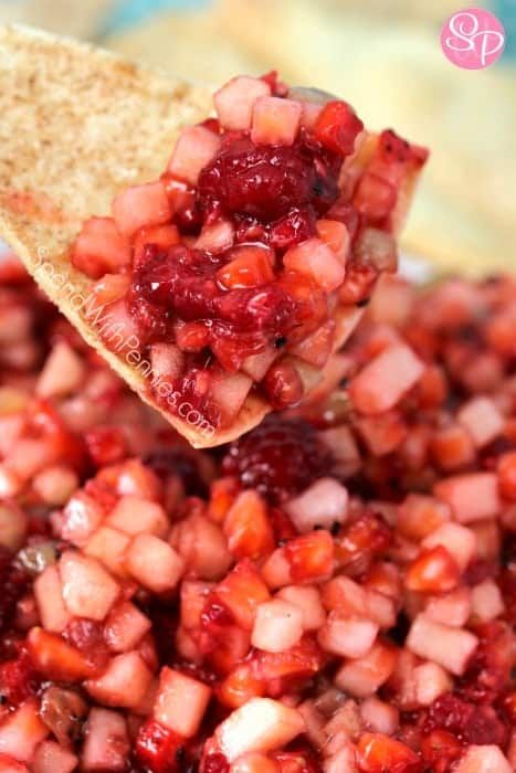 Fruit Salsa with Cinnamon Crisps Aperitif, Family Game Night Snacks, Cinnamon Crisps, Fruit Salsa Recipe, Strawberry Salsa, Best Appetizer Recipes, Delicious Appetizer Recipes, Cinnamon Chips, Fruit Salsa