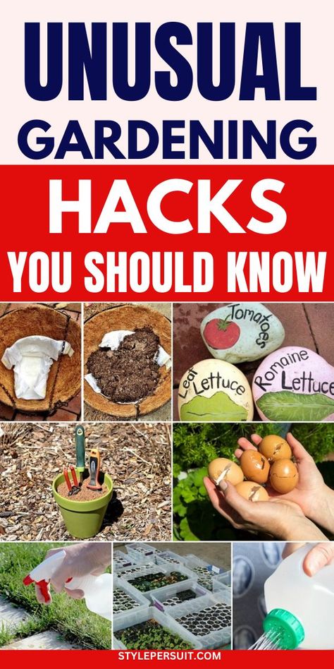 If you’re interested in gardening but don’t know where to start, We have 33 diy gardening hacks, plant hacks, and garden tips for beginner garndeing that will change the way you garden forever. Tips For Gardening Vegetables, Garden For Dummies, Tips For Planting Vegetable Garden, Veggie Garden Hacks, Start Garden In Backyard, Garden Tricks And Tips, Tips For Gardening, Gardening Tips For Beginners Vegetables, Best Beginner Garden Plants