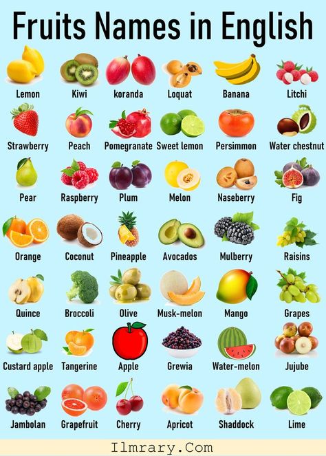 Fruits Names in English with Pictures. List of Fruits Names in English with PDF. Fruits Vocabulary Fruits Names In English, Fruits Name With Picture, Fruits Name, List Of Fruits, Fruits Name In English, Vocabulary In English, Fruit Names, Fruit List, Water Chestnut
