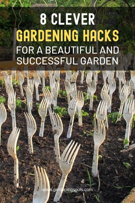 8 Clever Gardening Hacks For a Beautiful and Successful Garden Outdoor Garden Layout, Diy Garden Vegetable, Garden For Dummies, Limited Space Garden Ideas, Clever Garden Ideas, Garden Easy Ideas, Cool Garden Ideas Backyards, Cheap Vegetable Garden Ideas, Veggie Garden Hacks