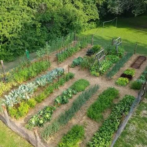 8 Unique Ideas for Your Veggie Garden - Grow Gardener Blog Farm Veggie Garden, Veg Garden Ideas Layout, Backyard Veggie Garden Layout, Potager Garden Design Layout, Market Garden Layout, Veg Garden Ideas, Garden Layout Ideas Design, Garden Layout Ideas Vegetable, Potager Garden Design