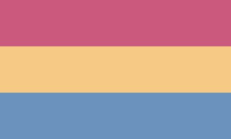 Emotional Attraction, Pan Flag, Intersex Flag, Genderfluid Flag, Nonbinary Flag, Pansexual Flag, Gender Flags, Gay Flag, Yennefer Of Vengerberg