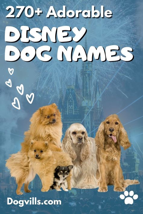 20 Adorable Disney Inspired Dog Names for Boys & Girls Disney Girl Dog Names, Disney Animal Names, Disney Dog Names Boys, Marvel Dog Names, Disney Names For Dogs, Disney Boy Names, Puppy Names Boy, Dog Names Disney, Good Boy Dog Names