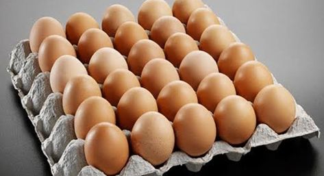 Latest Price of Eggs in Nigeria Today: Cost Per Crate, Single – April 6th, 2024 Poultry Feed, Blogger Templates, Marketing Trends