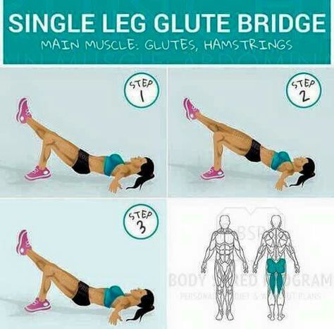 Single Leg Gluten Bridge Barbell Glute Bridge, Bridge Exercise, Single Leg Glute Bridge, Study Info, 12 Week Challenge, Single Leg Bridge, Bridge Workout, Personal Fitness Trainer, Glute Bridge