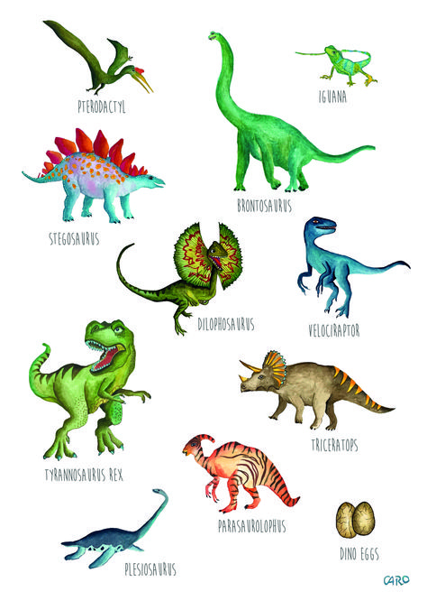 Types Of Dinosaurs Chart, Dinosaur Images Free Printable, Dinosaurs Names And Pictures, Dinosaur Doodles, Dinosaurs Names, Names Of Dinosaurs, Dinosaur Names, Different Dinosaurs, Dinosaur Types