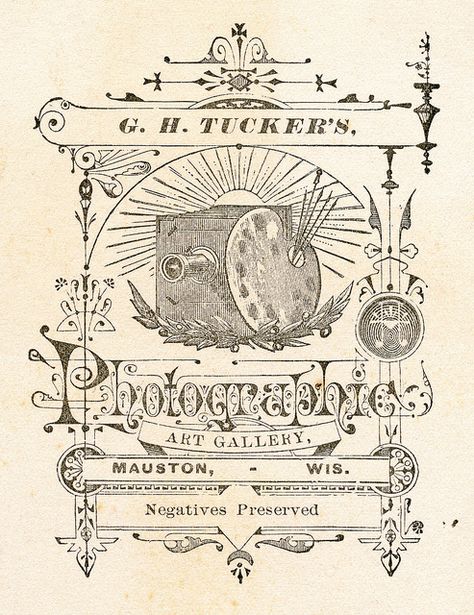 Tucker's, photographic art gallery. Mauston, WI (Same design as Barnes, Chatfield, MN). Vintage Graphic Design, Making Posters, Vintage Book Art, Cabinet Cards, Vintage Cabinet, Beautiful Lettering, Old Photography, Cabinet Card, Vintage Cabinets