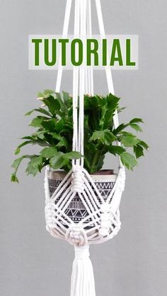 Macrame Plant Hanger Tutorials, Macrame Plant Hanger Pattern, Diy Macrame Plant Hanger Easy, Macrame Plant Hanger Diy, Diy Macrame Plant Hanger Pattern, Diy Macrame Plant Hanger Tutorials, Plant Hanger Pattern, Plant Hanger Diy, Simpul Makrame