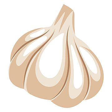 garlic,illustration,vector,isolated,white,background,food,healthy,plant,bulb,organic,vegetarian,fresh,nature,spice,natural,watercolor,health,nutrition,vegetable,spicy,flavor,aromatic,root,design,clove,object,ingredient,cooking,raw,ripe,condiment,spiciness,set,color,art,symbol,drawing,icon,cartoon,group,food vector,cartoon vector,watercolor vector,plant vector,color vector,nature vector,vegetables vector,bulb vector,vegetable vector,health vector,vegetables,tree roots,vegan Garlic Cartoon Drawing, Garlic Illustration Drawing, Garlic Illustration Design, Garlic Cartoon, Garlic Vector, Garlic Illustration, Vector Vegetables, Bulb Vector, Drawing Icon