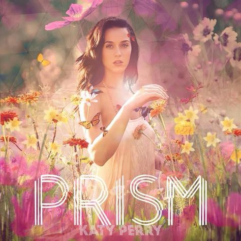 Katy Perry Albums, Katy Perry Songs, Katy Perry Hair, Prismatic World Tour, January Baby, Katty Perry, Best Night Ever, Palette Garden, Throw Pillows Christmas