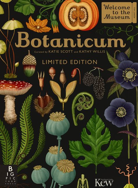 Katie Scott turns science into fantasy with her modern take on anatomical illustration — Freunde von Freunden Robert Mapplethorpe, Botanisk Illustration, Katie Scott, Illustration Botanique, Martin Parr, Scientific Illustration, Kew Gardens, Botanical Drawings, Zbrush