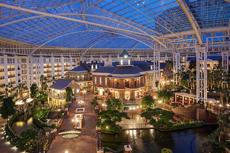 Opryland Resort Nashville, Christmas In Nashville, Opryland Hotel, Nashville Hotels, Grand Ole Opry, Indoor Gardens, Family Resorts, Hotel Guest, Royal Design