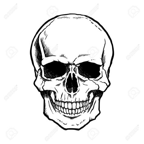 Skeleton Head Drawing, Simple Skull Drawing, Human Skull Drawing, Tattoo Caveira, Badass Drawings, Simple Skull, Skull Stencil, Skull Sketch, Skeleton Drawings