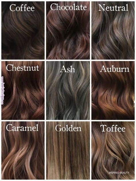 Hair Color Ideas For Brunettes That You Want To See - Inspired Beauty Shades Of Brunette, Rambut Brunette, Chestnut Hair, Coffee Hair, Vlasové Trendy, Chocolate Hair, Hair Color Chart, Chocolate Brown Hair, Brown Hair Balayage