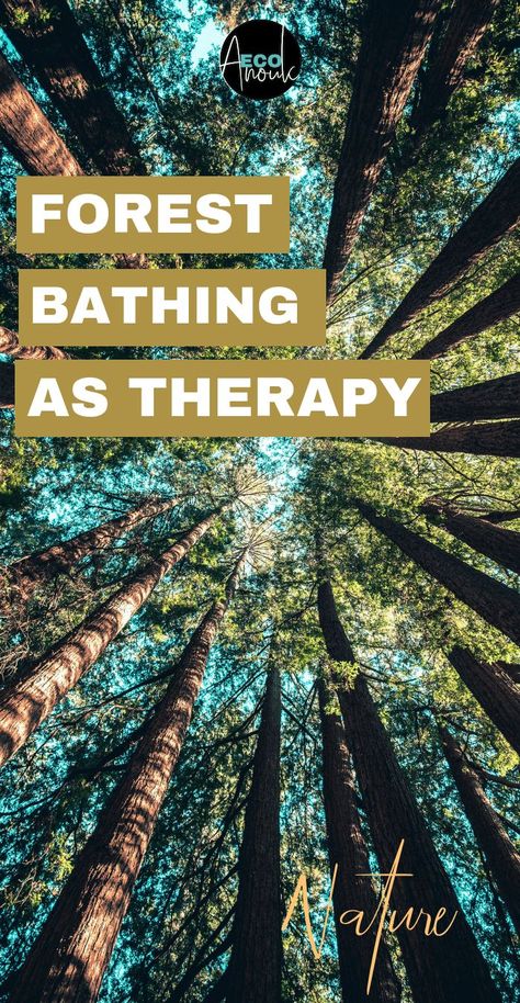 Nature, Eco Therapy Activities, Mindfulness In Nature, Nature Therapy Activities, Adventure Therapy, Eco Therapy, Outdoor Therapy, Relaxation Therapy, Forest Therapy