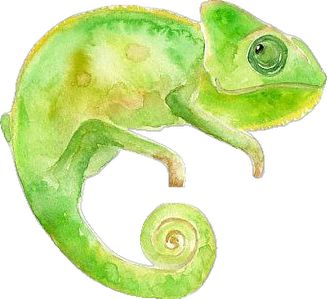 Watercolour chameleon Collage, Chameleons, Chameleon Aesthetic, Chameleon Drawing, Drawings, Pins, Quick Saves