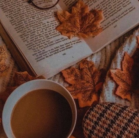 Fall Asthetic Photos Vintage, Fall Pics For Widgets, Cozy Fall Aesthetic Widget, Cozy Fall Aesthetic Playlist Cover, Fall Aesthetic Profile Pic, Cozy Autumn Aesthetic Widget, Cozy Autumn Aesthetic Pictures, Fall Aesthetic Album Cover, Autum Widgets Aesthetic