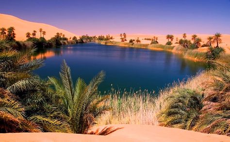 Ubari Lakes | The beautiful oasis in the Sahara desert Deserts Of The World, Desert Photography, The Sahara Desert, Beautiful Landscape Photography, Desert Life, Southern Region, Desert Oasis, Desert Art, Sahara Desert