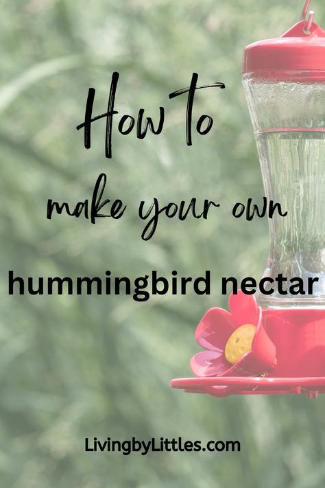 How to Make Your Own Hummingbird Nectar Diy Hummingbird Nectar, How To Make Hummingbird Nectar, Humming Bird Nectar Recipe, Hummingbird Recipe, Hummingbird Mix, Hummingbird Nectar Recipe, Red Food Dye, Red Hummingbird, Hummingbird Food