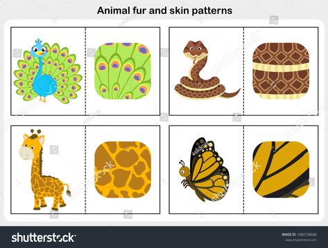 Pattern Worksheet, Animal Flashcards, Fur Animal, Kindergarten Skills, Animal Cell, Verb Worksheets, Animal Fur, Skin Pattern, Learning Letters