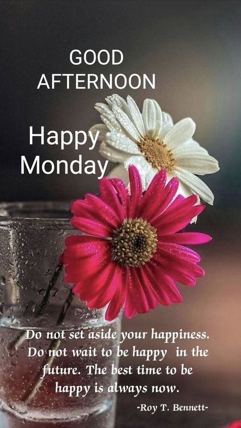 Facebook Party Graphics, Afternoon Greetings, Afternoon Messages, Afternoon Wishes, Good Evening Love, Monday Wishes, Happy Monday Quotes, Good Afternoon Quotes, Good Evening Greetings