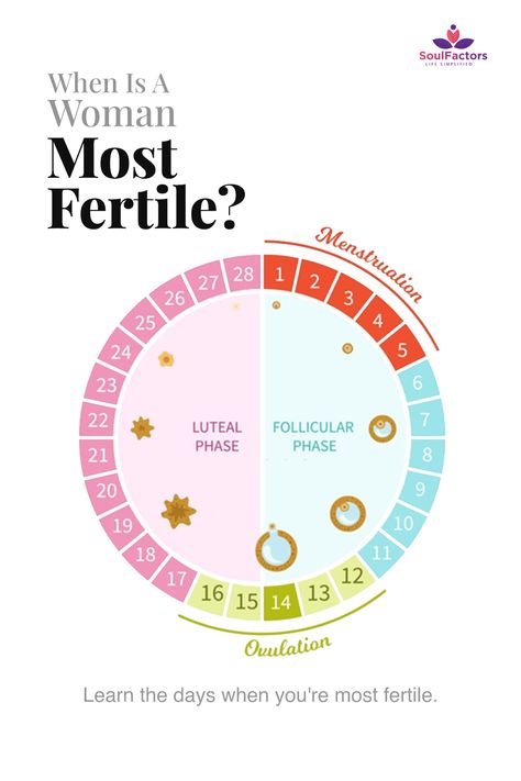 Most Fertile Days Charts, How To Track Ovulation Cycle, Tracking Ovulation, Ovulation Signs, Ovulation Symptoms, Fertility Day, Ovulation Calculator, Ovulation Tracking, Fertility Tracking