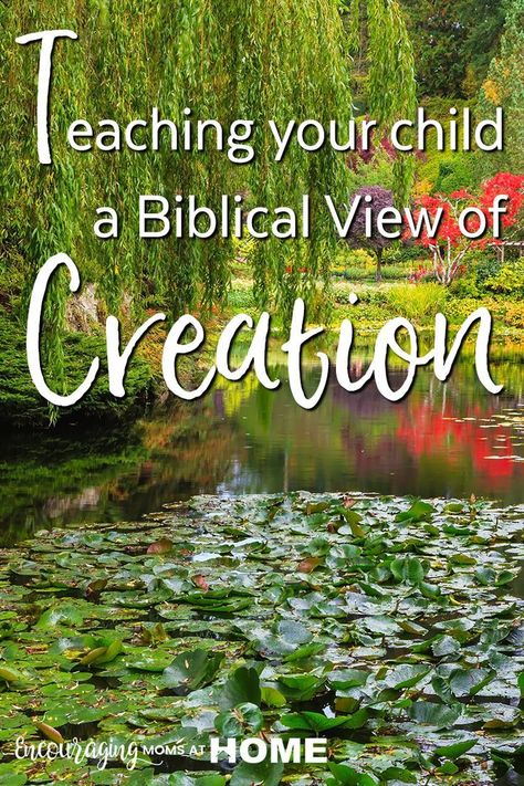 How to teach your child a biblical creation view Biblical Creation, Christian Parents, Bible Study Materials, Teaching Resume, Unit Studies Homeschool, Creation Science, Christian Apologetics, Science Reading, Biblical Worldview
