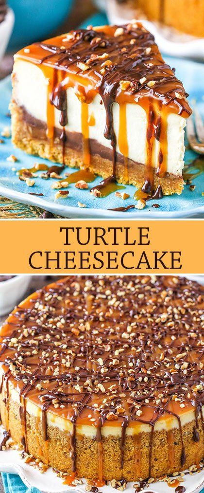 Biscotti Cheesecake, Turtle Cheesecake Recipes, Biscuits Graham, Turtle Cheesecake, Easy Cheesecake Recipes, Caramel Chocolate, Easy Cheesecake, Cheesecake Desserts, Caramel Recipes