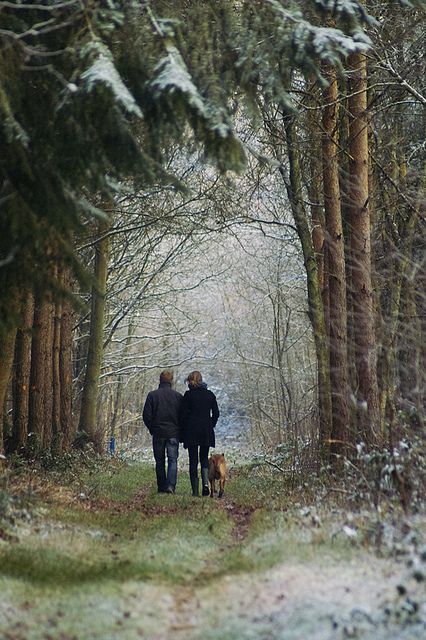 Painting Dogs, Woodland Walk, Zsazsa Bellagio, Winter Woods, Winter Walk, Wonderful Life, Walk In The Woods, Winter Wonder, Foto Inspiration